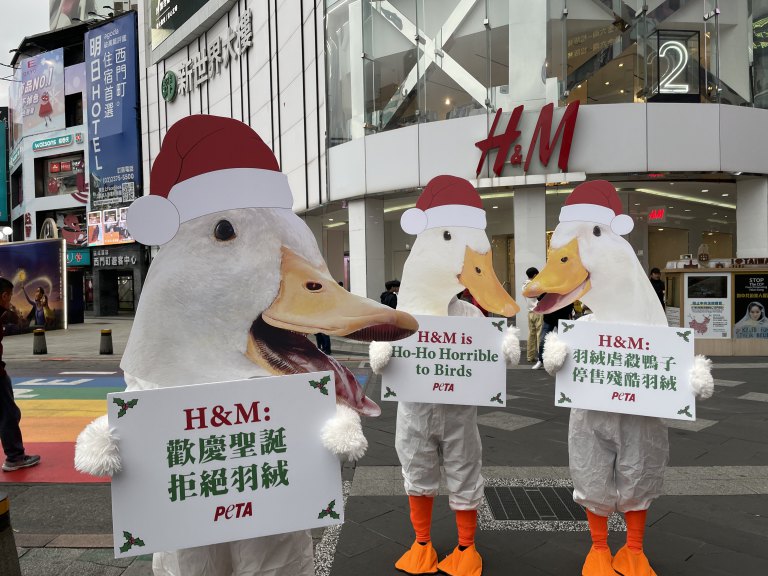 亞洲善待動物組織巨型「聖誕鴨」　抗議販售殘酷羽絨