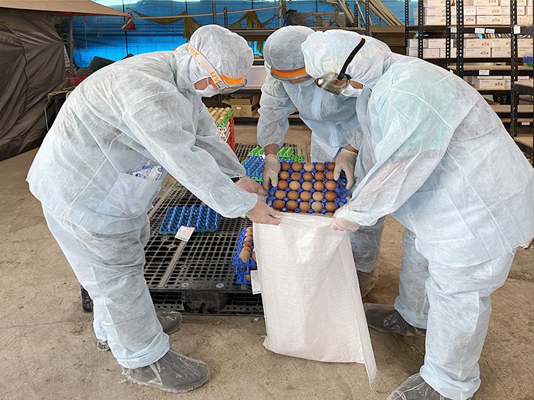 台南蛋雞場確診禽流感　動保處呼籲養禽業者落實生物安全