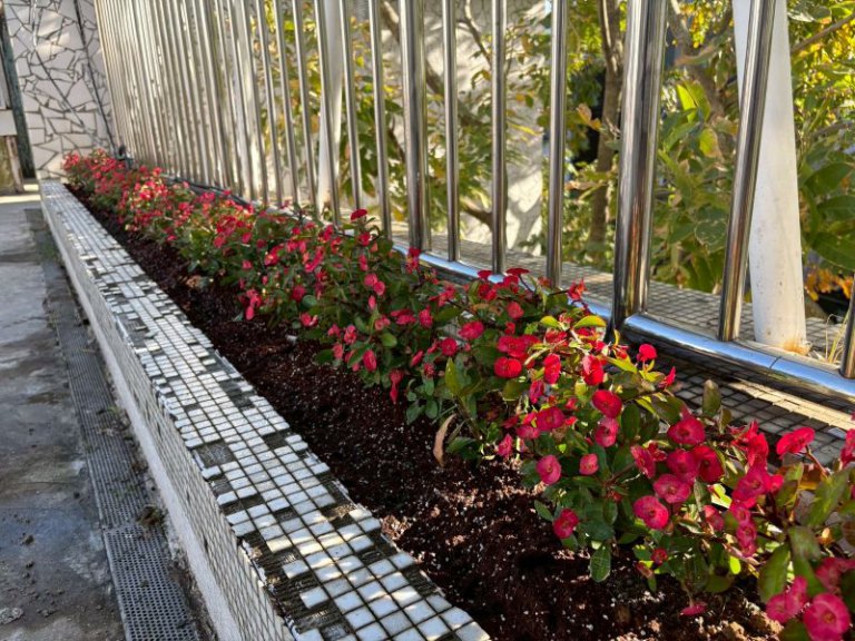 竹市推動空品淨化區連3年獲績優肯定　公私協力打造宜居永續城市