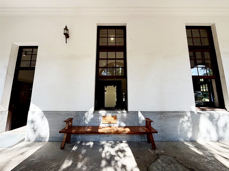 全台灣第一座　百年羅漢松再生為共享長凳