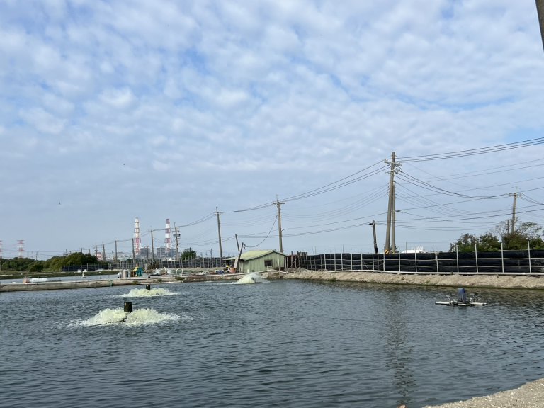 東北季風漸增強大陸冷氣團接連來襲　養殖朋友們趕緊做好防寒準備