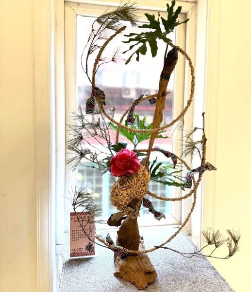 新竹縣茶花節「茶花原樹」 周末熱鬧登場