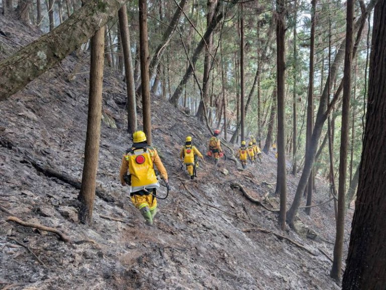 高山森林火災迅速撲滅　新竹分署提醒乾季入山防火