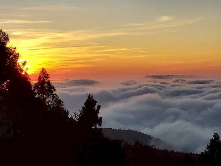 阿里山賓館頂級套房即將登場　漫步雲端飽覽磅薄雲海