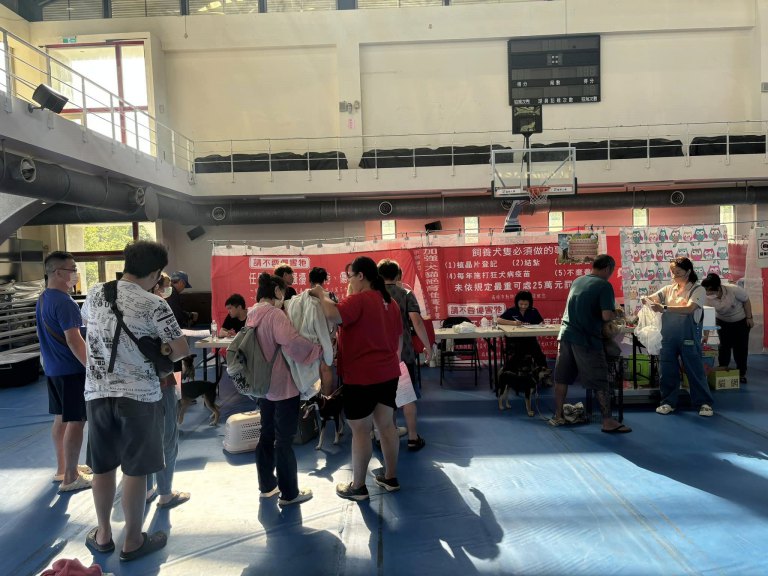 2026高市犬貓絕育雙軌開跑　市民補助即日開始 