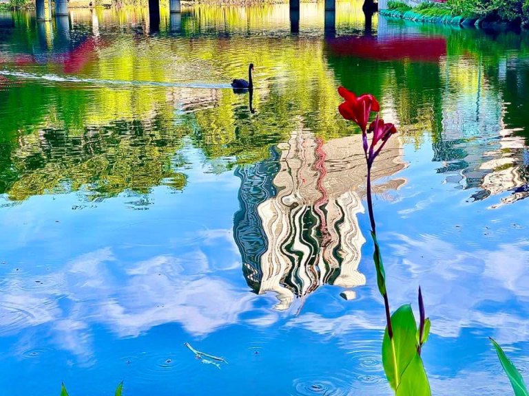 七十而不止步　色盲攝影師謝炳昌以光影書寫生命深度