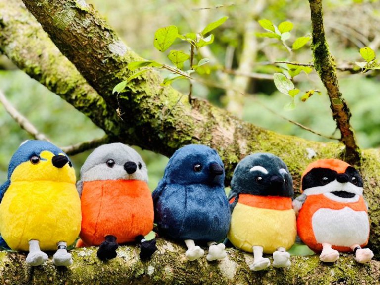 新竹分署明星商品「森林羽精靈」　飛進日系雜貨品牌「DECO HOME」