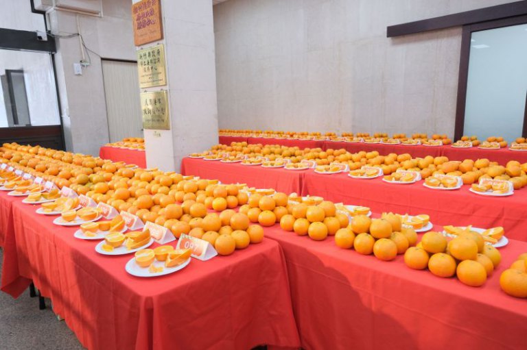 竹縣「柑桔的故鄉」農特產展售 週末熱鬧登場 竹縣「柑桔的故鄉」農特產展售 週末熱鬧登場