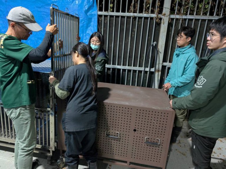 司馬限林道黑熊受困陷阱　林保署跨機關成功救援