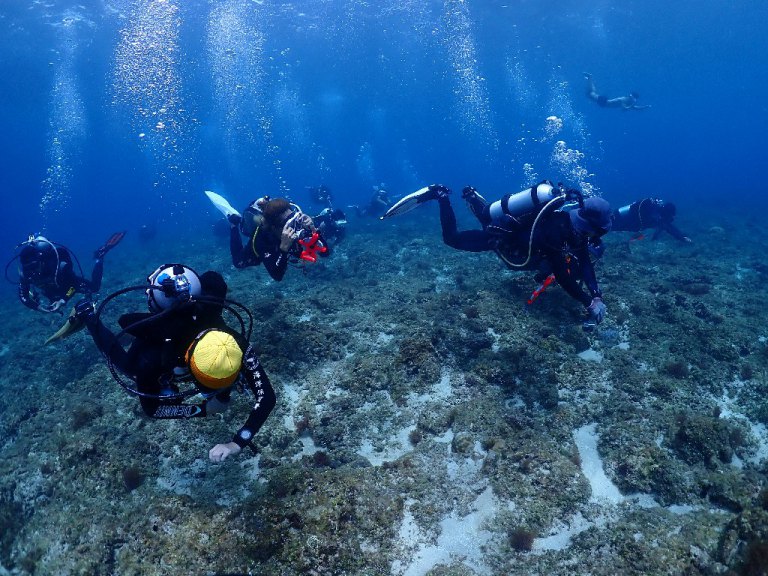 領運動幣潛水去　海委會加碼攜手友善潛店推動海洋永續