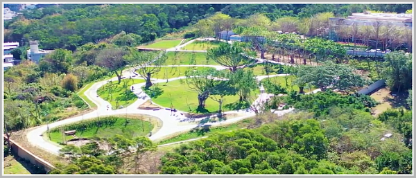 竹市樹葬園區「詠生樹」　賴秋莉所長：最美永眠地