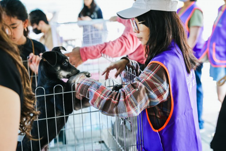 「家」倍幸福　高雄市動保處攜手家樂福企業打造全方位認養會