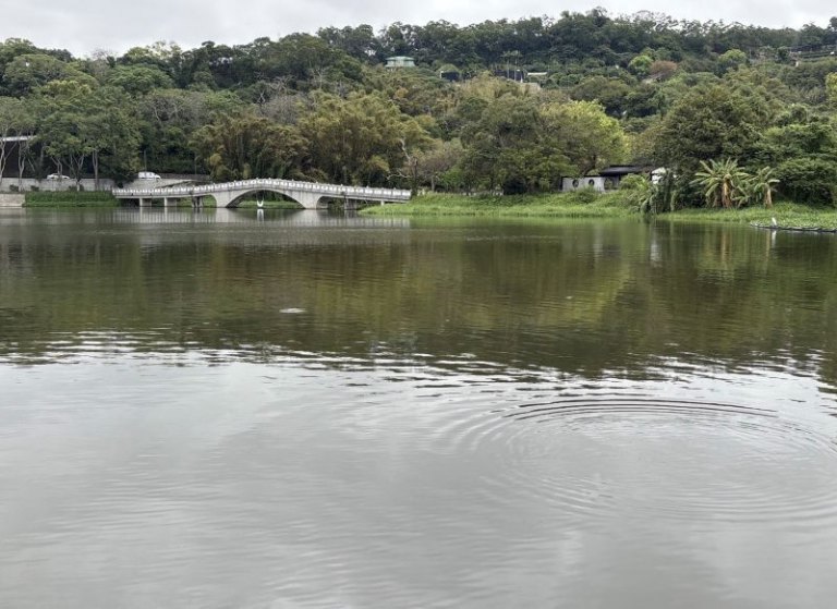竹市府分區清除水域漂浮植物與雜草　 維護青草湖景觀與生態環境