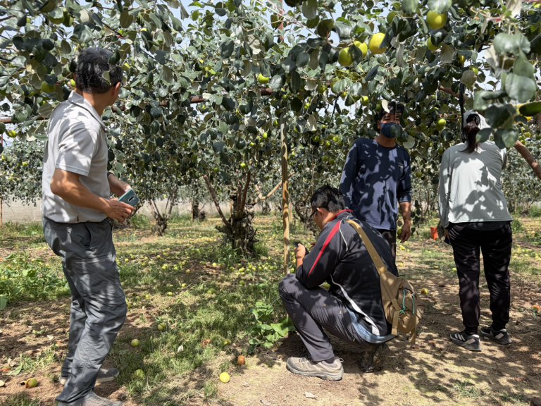 2-3月霪雨致災　棗農損救助3/18起受理