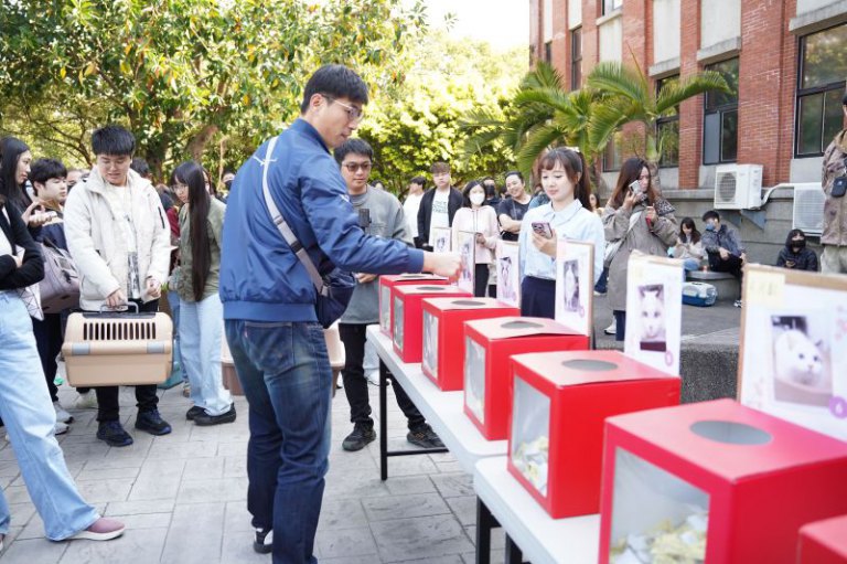 竹縣動保所貓咪認養抽籤　 8隻布偶貓尋得溫暖新家