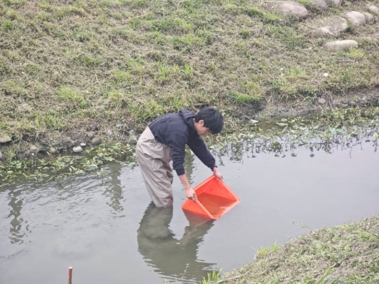 竹市溪埔子志工齊聚交流　共同守護水鳥棲地、打造永續城市生態
