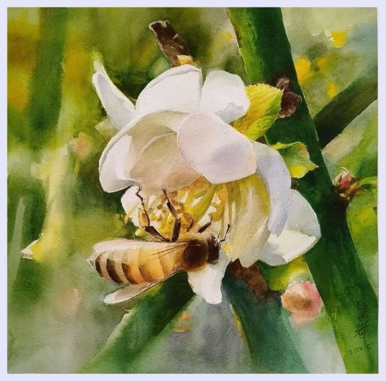 讓時間慢下來　林世輝以水彩描繪日常中的微光與記憶片刻