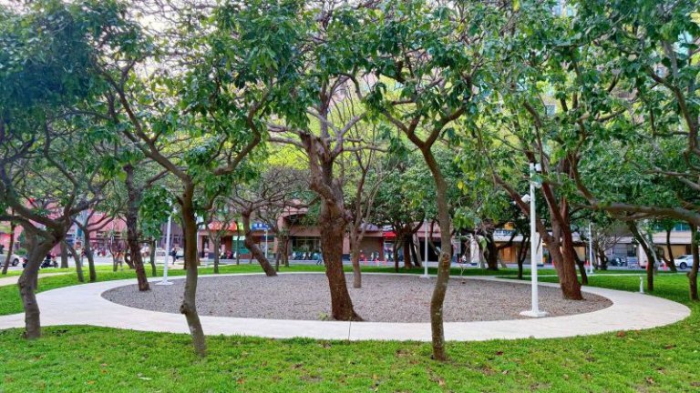 竹北市西公園今啟用與東公園形成城市綠肺7,500平方公尺草皮　鄭朝方打造「光明綠廊」