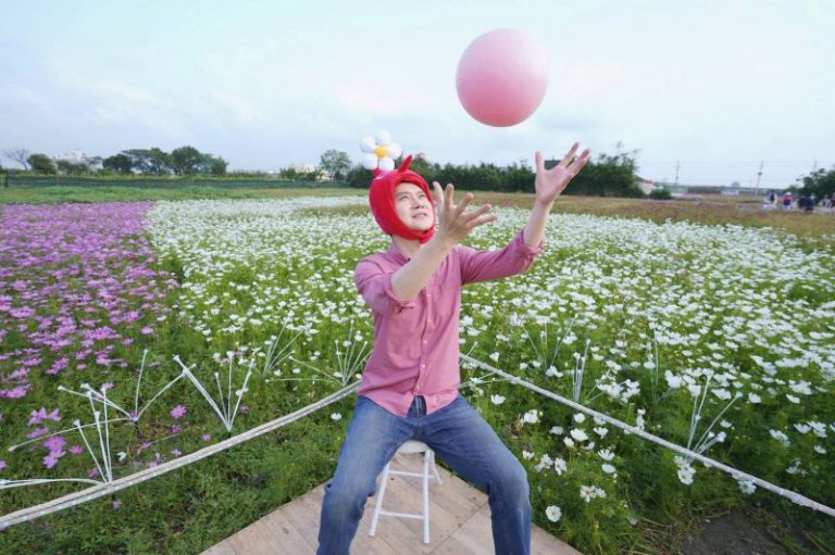 竹北「陌上花開」波斯菊花海首週　鄭朝方化身皮克敏成孩子王