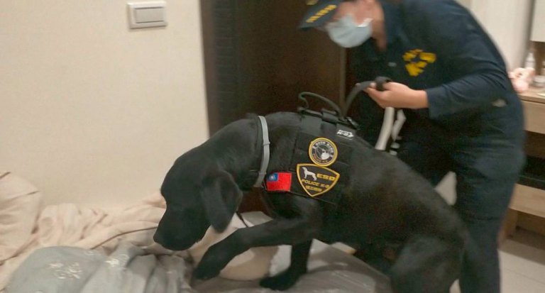 全台首隻電偵犬Wafer立大功　嗅出隱匿硬碟51億洗錢案