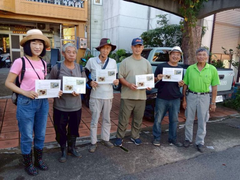 【523世界烏龜日】山林裡的「閉殼」精靈　新竹分署大溪巡護紀錄揭開食蛇龜神祕面紗