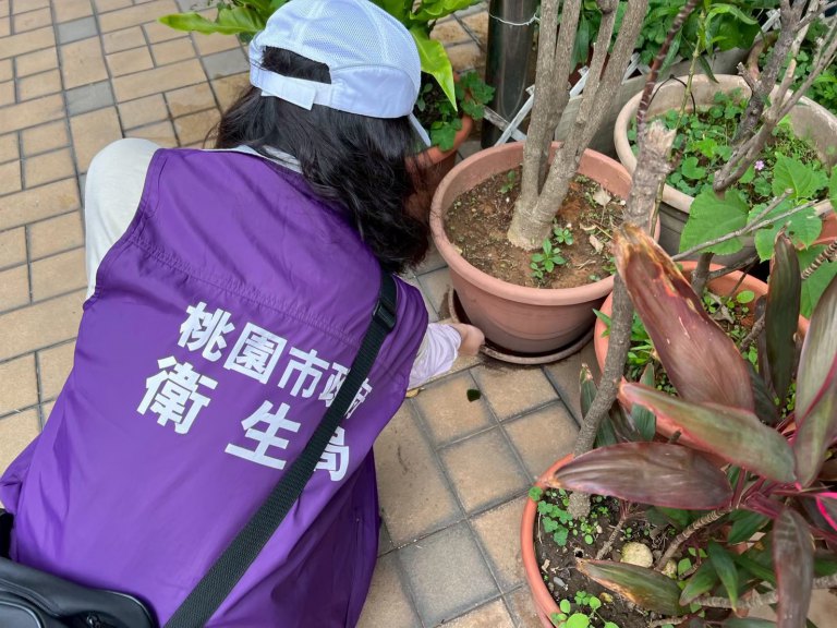 防範登革熱 6月起查獲孳生孑孓最高罰1萬5千元 防範登革熱 6月起查獲孳生孑孓最高罰1萬5千元
