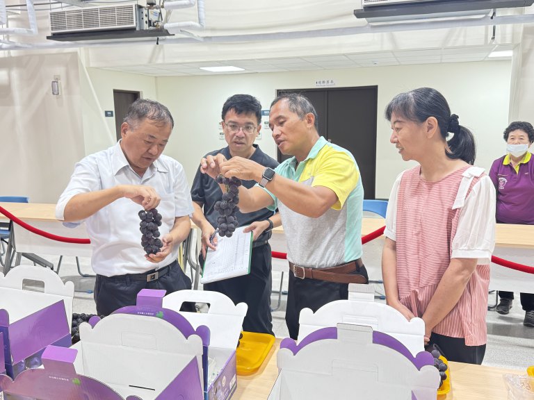 彰化優質葡萄評鑑登場　70組果農較勁展實力