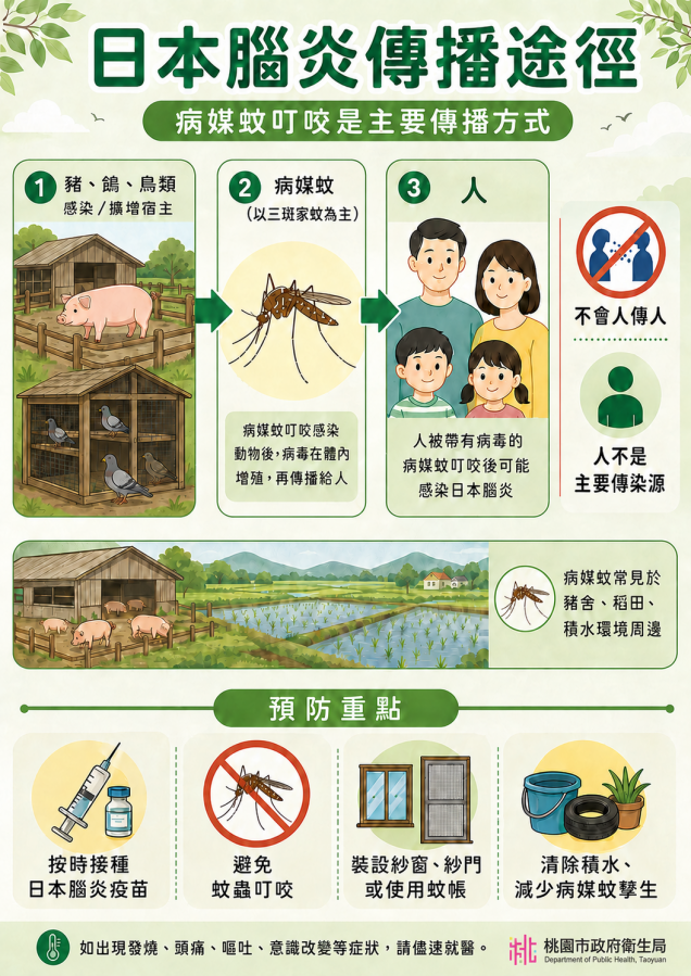 當心日本腦炎流行季　全面防蚊 避免病媒蚊叮咬