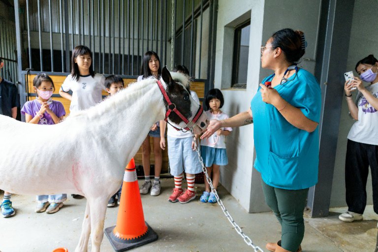 高市動保處攜手動物醫院 打造「一日馬病小獸醫」沉浸體驗 高市動保處攜手動物醫院 打造「一日馬病小獸醫」沉浸體驗