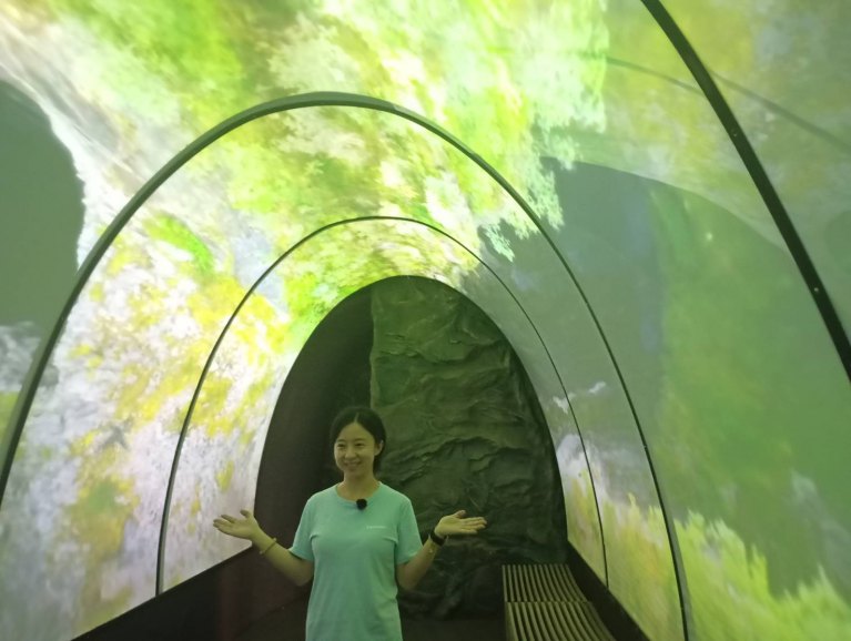 白蘭氏健康博物館斥資升級　沉浸式燕子洞結合AI互動科技亮相