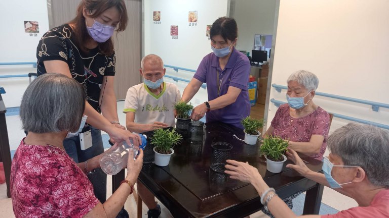 巧手植綠療癒身心　彰化榮家長輩DIY羅漢松水耕盆栽樂享園藝時光