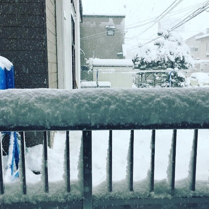 ▲ 日本北海道受到低氣壓籠罩，日前下起大雪，部分地區單日降雪量創下歷史新高。(圖／kenji_ando Instagram)