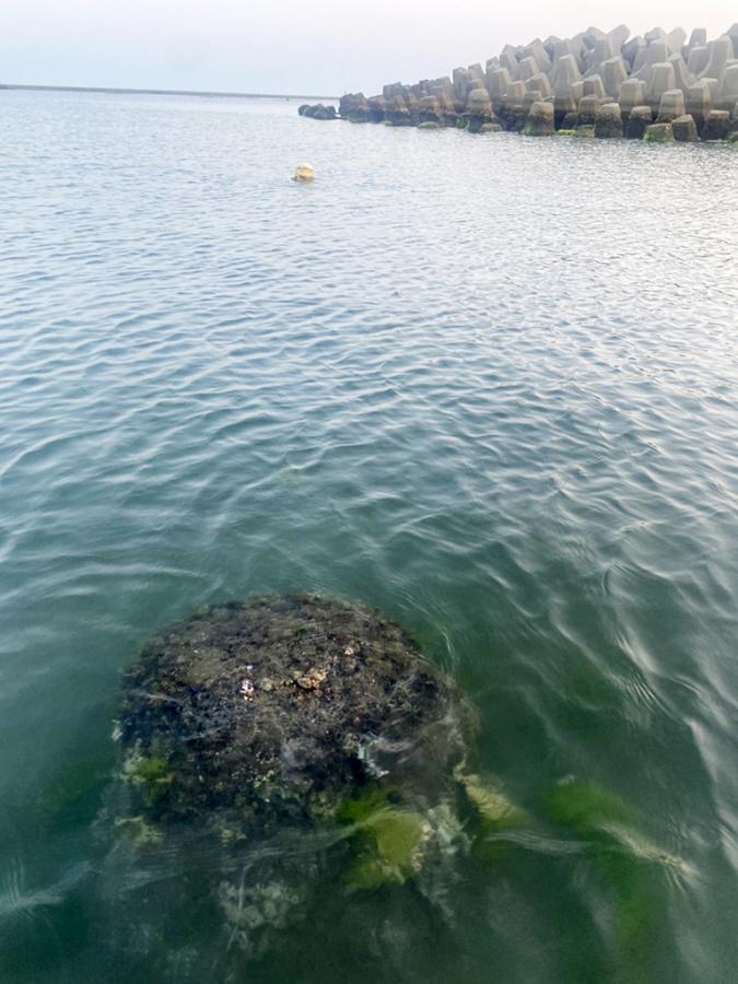 三鯤鯓漁光島水域石頭成暗礁　李啟維籲盡速移除以策安全
