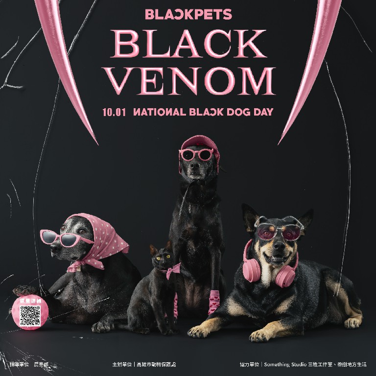 因應高雄演唱會經濟　高市動保處推出推出獨家產物「BlackDog」宣傳