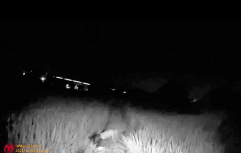 寒夜田裡傳出微弱喘息　警憑毅力尋獲失蹤長者